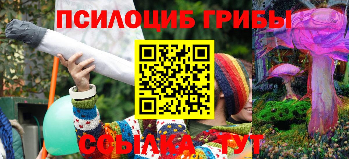 Псилоцибиновые грибы ЛСД Кашира