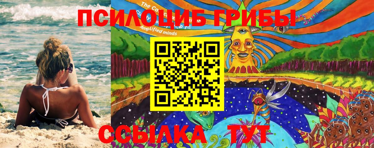 Кашира  Псилоцибиновые грибы Magic Shrooms  Вход с VPN 