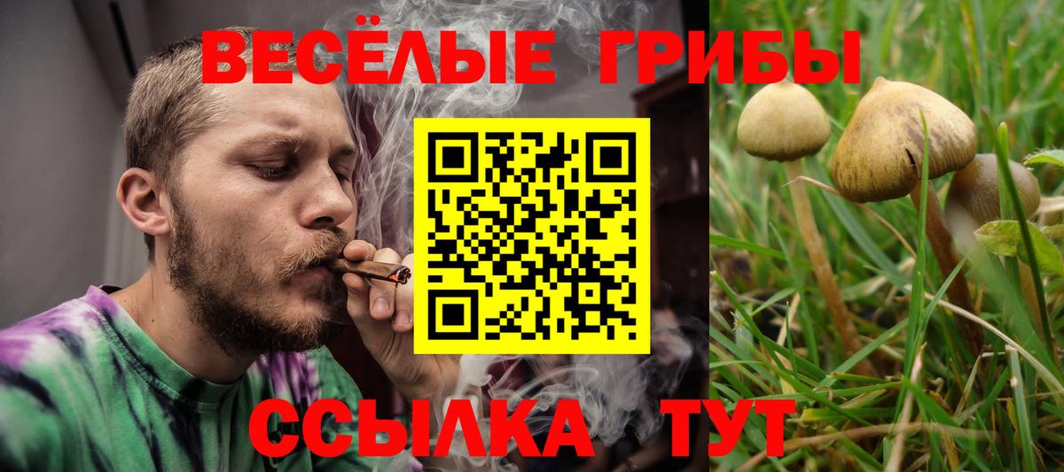 Меф   Alpha PVP СК   Лсд 25  Cocaine  Кашира  Вход с VPN  Героин  Конопля  НБОМе  ГАШ  Метамфетамин  Меф МЯУ МЯУ 